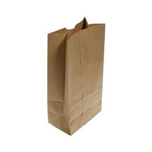 Sac de papier brun 10 Lbs DOUBLÉ