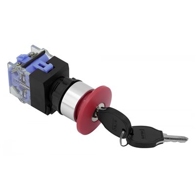CLÉ COMPLÈTE D'IGNITION POUR AUTORÉCUREUSE JVC RIDER